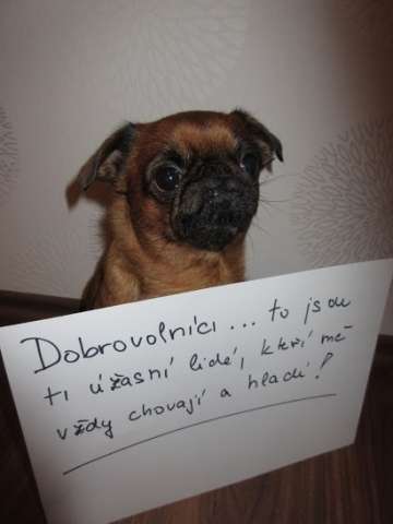 Poděkování dobrovolníkům